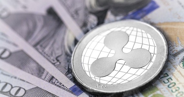 investimenti serie c ottimo di ripple