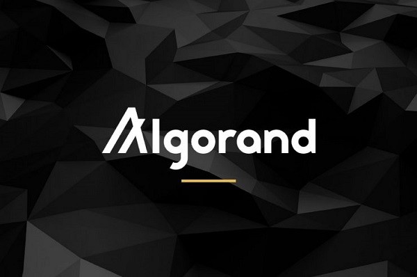 algorand tra le cripto positive